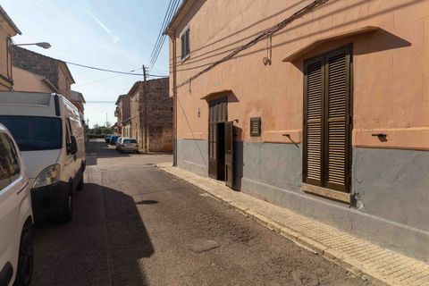 Landsbyhus i Sa Pobla, Mallorca, Sa Pobla - € 390.000 | Ref: 425536 - foto 17